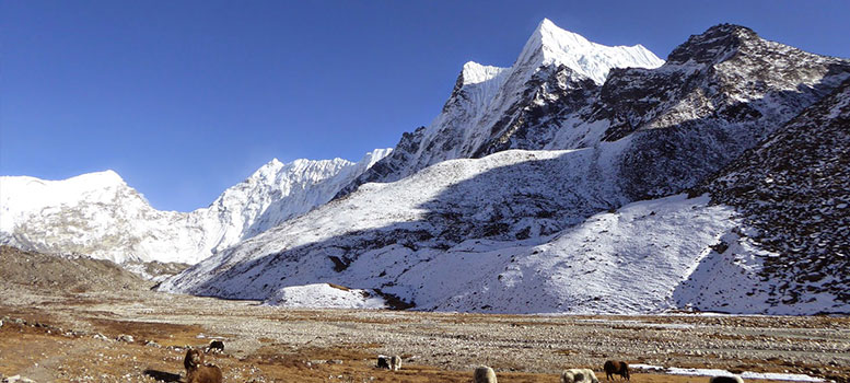 Naya Kanga Peak Climbing- 15 Days